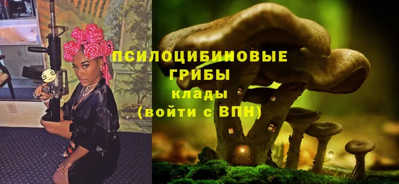 Галлюциногенные грибы Psilocybe  купить   OMG вход  Красавино 